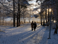 Bourgondische mutsentocht 